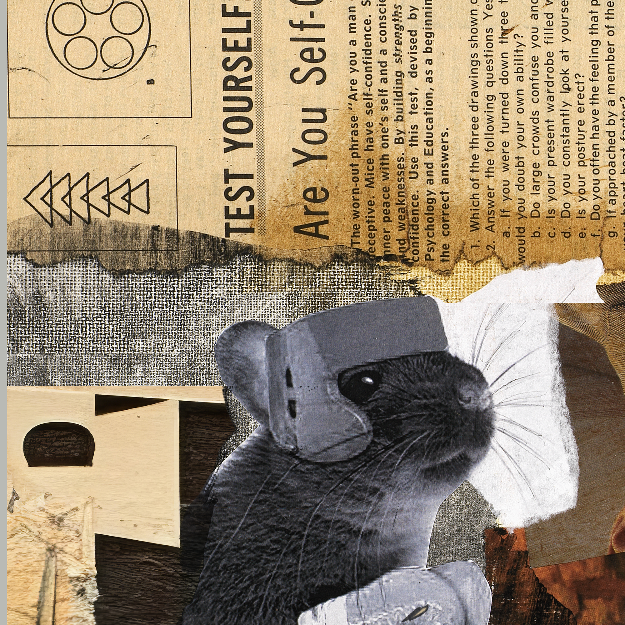 Collage Art Print<br>On Canvas<br> Are You A Man Or A Mouse?