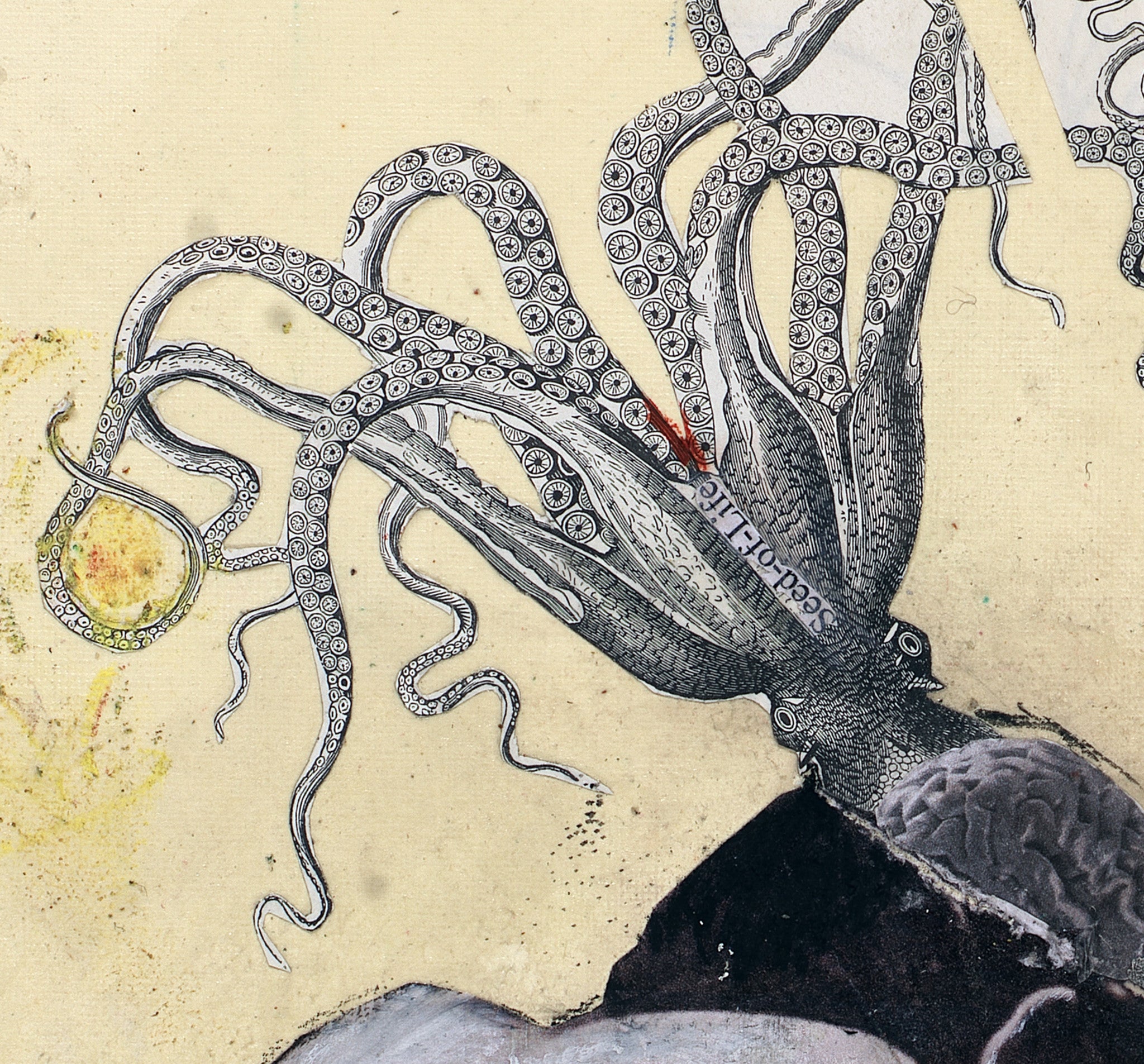 Collage Art Print<br>On Canvas <br>Title: Resurgence