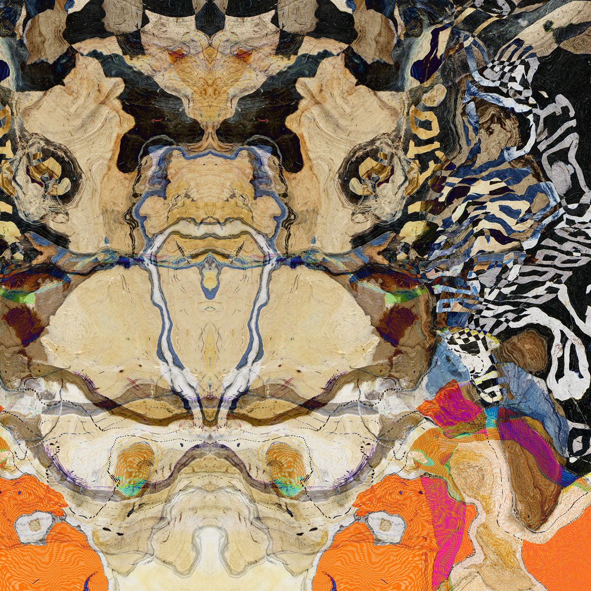#DCRS1-50 <br> Echo Collection  <br> Abstract Art Canvas Print